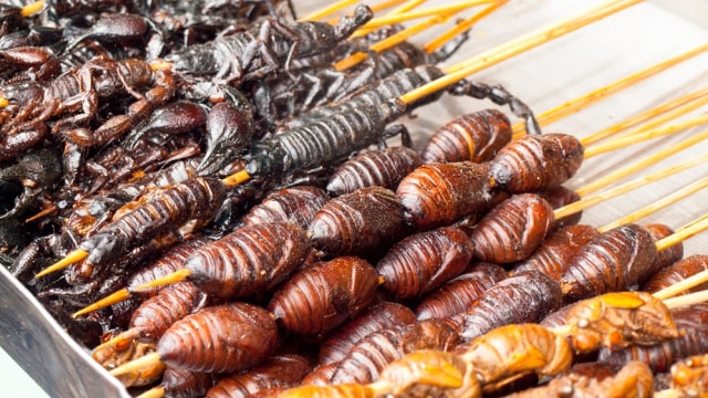 Sate serangga kaya manfaat bagi kesehatan tubuh. (Foto: Thinkstock)