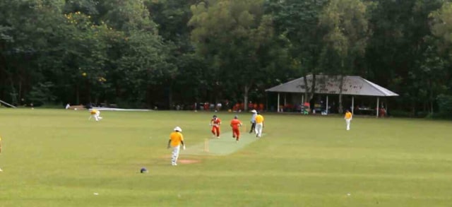 Tim Nasional Cricket Putra 