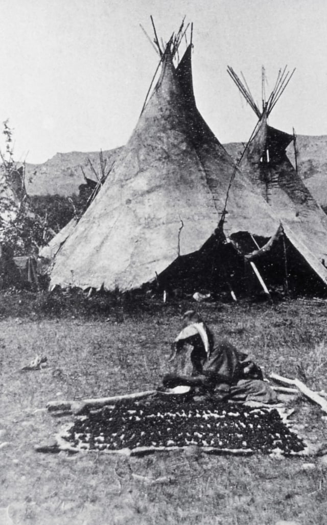 Mengenal Beragam Jenis Rumah Suku Indian (3)