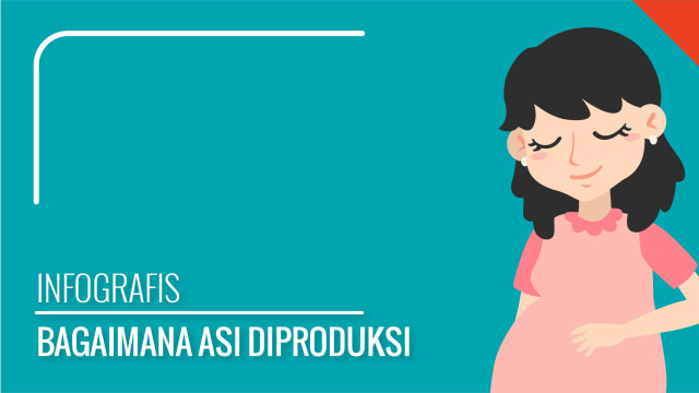 Infografis Bagaimana ASI Diproduksi (Foto: Bagus Permadi/kumparan)