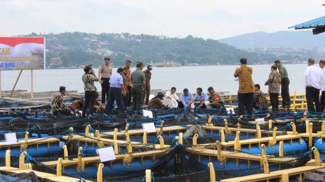 Jokowi saat meninjau keramba jaring apung. (Foto: Dok. Istimewa)