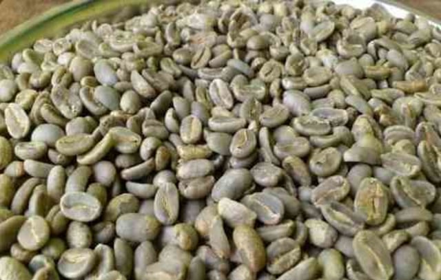 Kopi Excelsa (1)