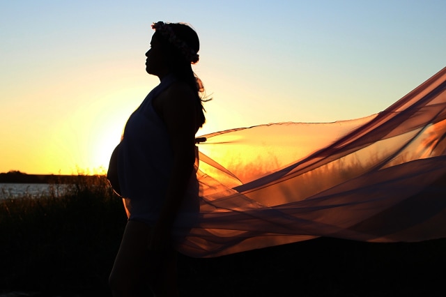 Ibu (ilustrasi) (Foto: Pixabay/bavitullo)