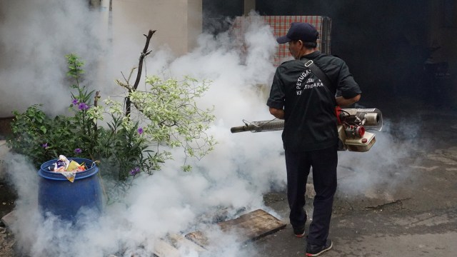 Fogging mencegah penyebaran nyamuk demam berdarah. (Foto: Aditia Noviansyah/kumparan)