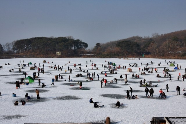 Memancing di Musim Dingin dalam Ganghwa Icefish Festival! 