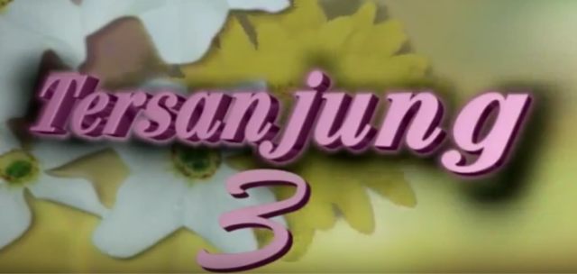 Sinetron Tersanjung  (Foto: Youtube Michael Ball )