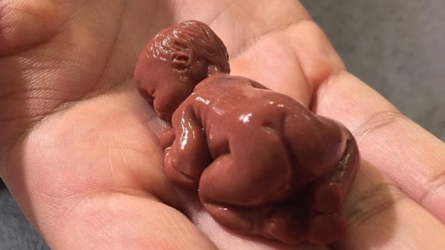 Eksperimen Makan Mayit oleh Natasha (Foto: instagram/@suazadmedia )