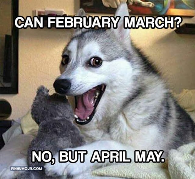 Akhiri Februari dengan 'Puns'!