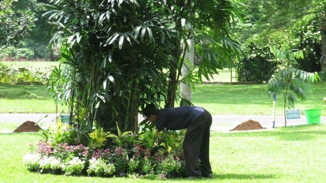 Petugas menutupi patung dengan tanaman. (Foto: Yudhistira Amran Saleh/kumparan)