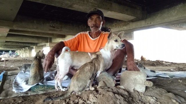 Ahmat dan kucing peliharaannya  (Foto: Anggi Dwiky Dermawan/kumparan )