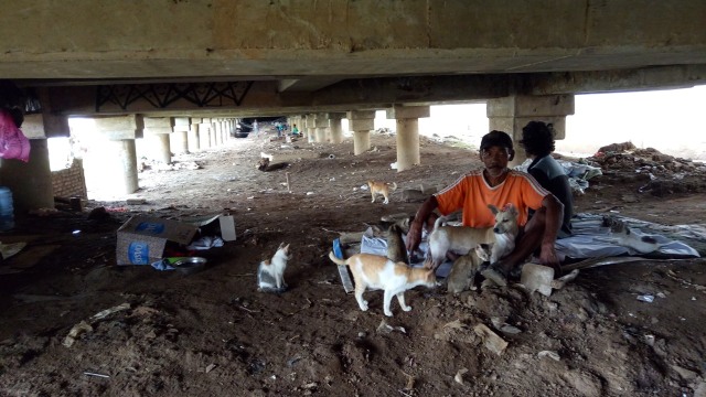 Ahmat dan kucing peliharaannya (Foto: Anggi Dwiky Dermawan/kumparan )