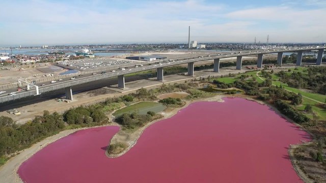 Faktor alam buat air danau berubah pink. (Foto: Facebook/Parks Victoria)