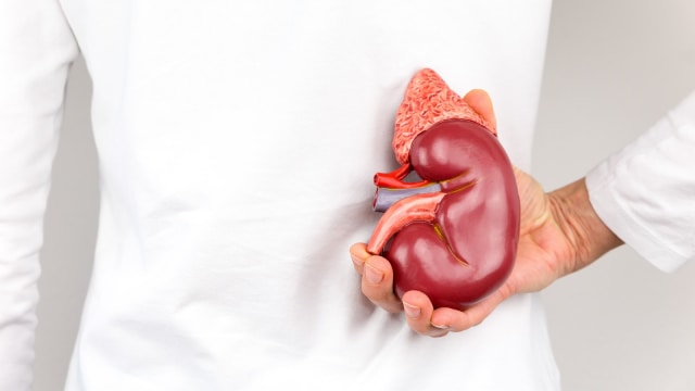 Cukup minum air dapat membantu menjaga kesehatan ginjal Foto: Thinkstock