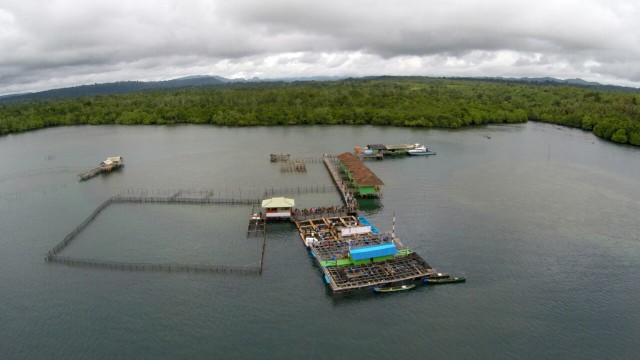 Keramba ikan di Kab. Seram Barat, Maluku. (Foto: Aditia Noviansyah/kumparan)