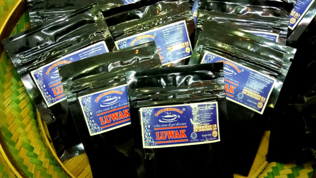 Kopi Luwak asal Kalimantan Timur  (Foto: Novan Nurul Alam/kumparan)
