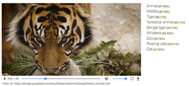 Contoh pencarian objek dalam video dari Google. (Foto: cloud.google.com)