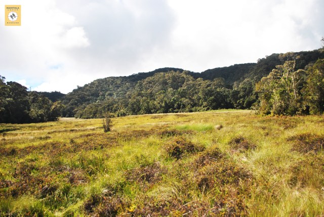 Keindahan Gunung Geuredong yang Tak Banyak Diketahui (1)