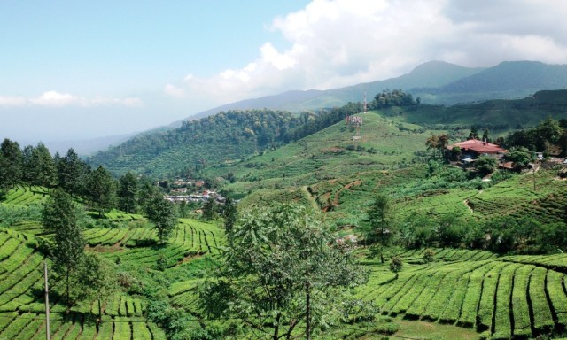 Bagaimana Pariwisata Bisa Membantu Memajukan Ekonomi Daerah Tertinggal