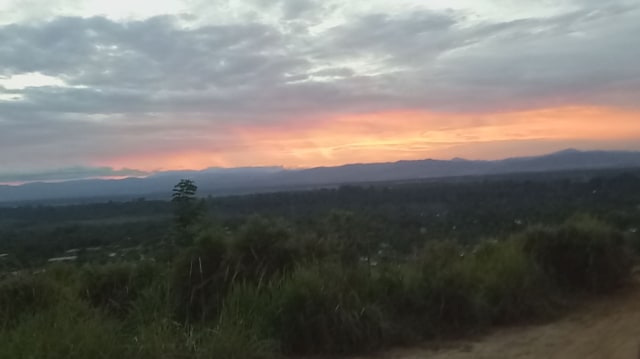 Pemandangan saat turun dari Gunung Botak. (Foto: Naufal Abdurrasyid/kumparan)