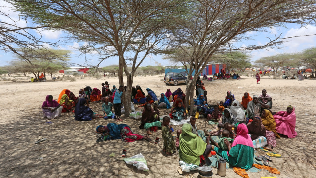 Warga Somalia kemping di bawah pohon. (Foto: Reuters//Feisal Omar)