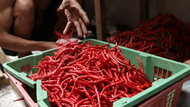 Penjual merapikan cabai merak di pasar (Foto: Fanny Kusumawardhani/kumparan)