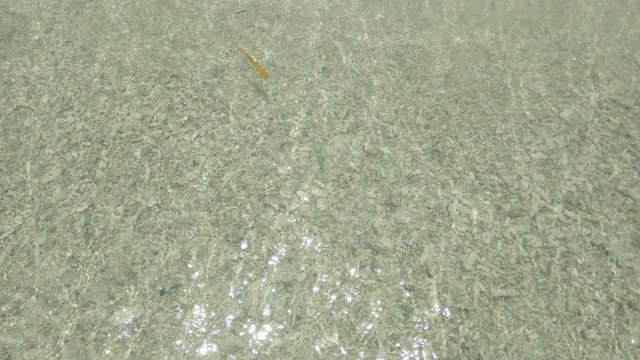 Kejernihan air laut di Pantai Jikumerasa. (Foto: Naufal Abdurrasyid/kumparan)