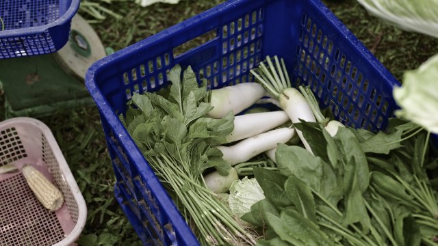 Kegiatan di The Learning Farm, Cianjur (Foto: thelearningfarm.com)
