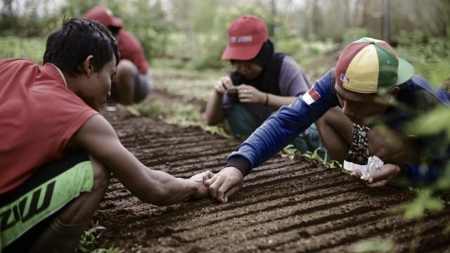 Kegiatan di The Learning Farm, Cianjur (Foto: thelearningfarm.com)