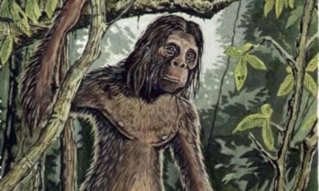 Ilustrasi Orang Pendek Sumatera (Foto: Ant Wallis/Centre for Fortean Zoology)