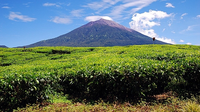 Gunung Kerinci. (Foto: wikimedia commons)