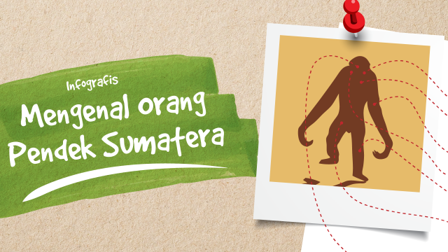 Infografis Orang Pendek di Indonesia (Foto: Ridho Robby/kumparan)