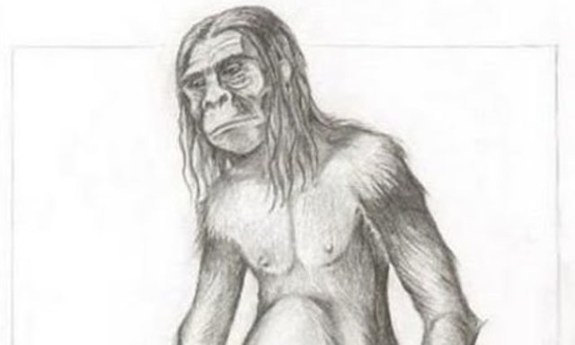 Ilustrasi Orang Pendek Suamtera. (Foto: Ant Wallis/Centre for Fortean Zoology)