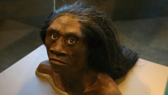 Homo Floresiensis (Foto: Flickr)