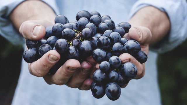 Makanan pencegah keringat berlebih Foto: pixabay