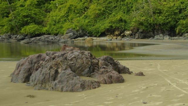 Pantai Rajegwesi di Taman Nasional Meru Betiri. (Foto: Wikipedia)