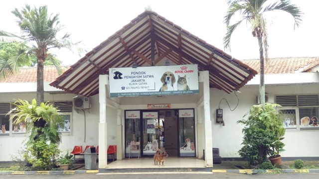 Pondok Pengayom Satwa. (Foto: Jihad Akbar/kumparan)