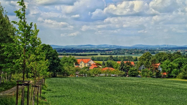 Ilustrasi Desa. Foto: Pixabay - @tpsdave