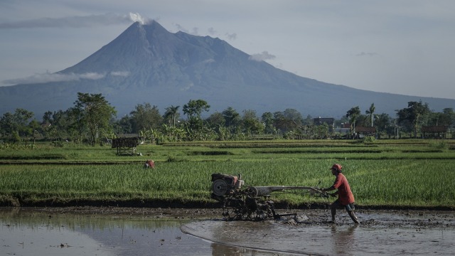 Petani membajak sawah. (Foto: Antara/Hendra Nurdiyansyah)