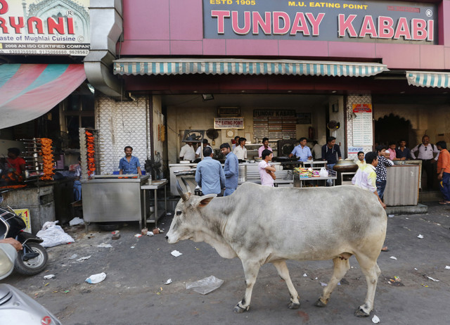 Sapi di India (Foto: AP Photo)