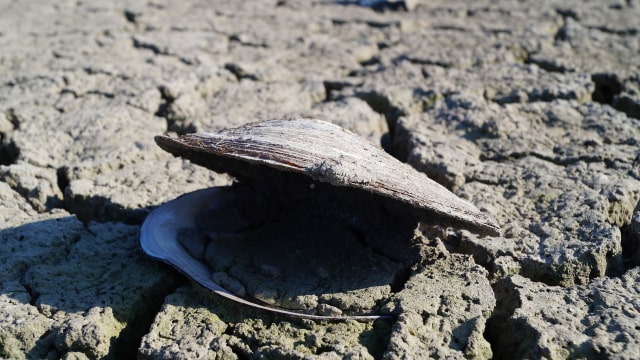 Ilustrasi perubahan iklim. (Foto: Pixabay)