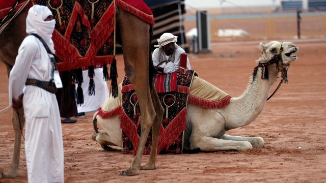 Ilustrasi kota Riyadh, Arab Saudi Foto:  REUTERS/Faisal Al Nasser