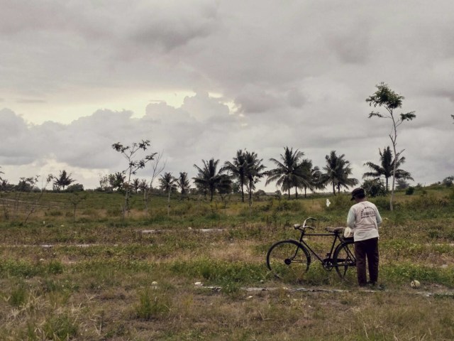 Pulang Setelah Panen