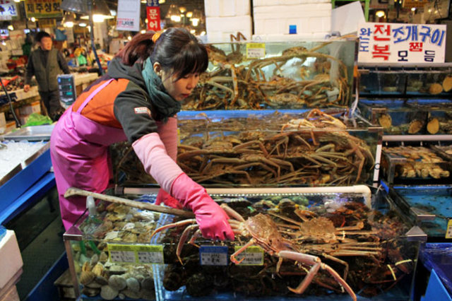 Yuk Intip Pasar Ikan Noryangjin! (4)