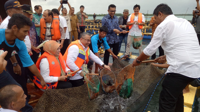 Mendes di Pandeglang (Foto: Amanaturrosyidah/kumparan)