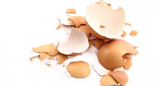 Manfaat cangkang telur bagi kecantikan kulit wajah (Foto: Thinkstock)