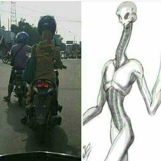 PENAMPAKAN