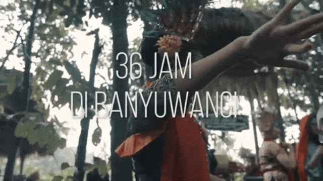 36 Jam di Banyuwangi (Foto: Nur Syarifah/kumparan)