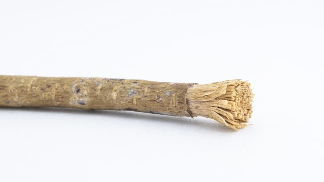 Ilustrasi siwak (Foto: Thinkstock)