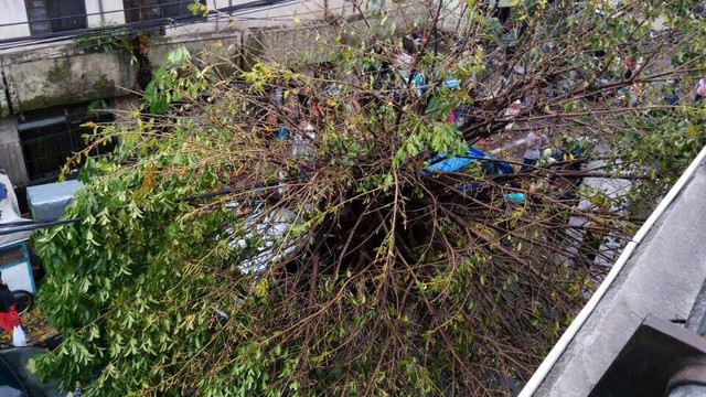 Usai hujan badai di Bandung. (Foto: Istimewa)