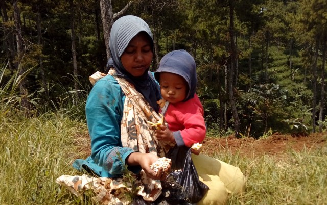 Bertani dan Mengasuh Anak